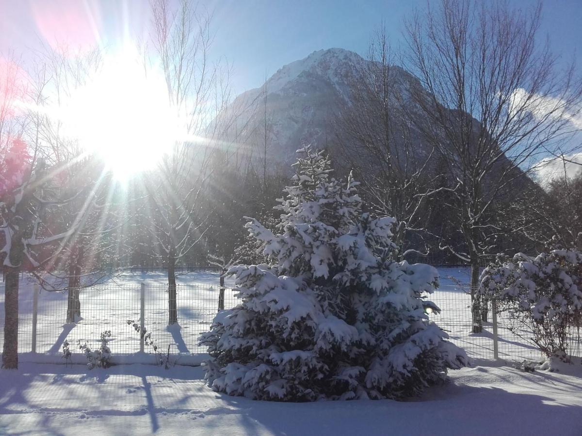 Chalet De L'Oisans Allemont Kültér fotó